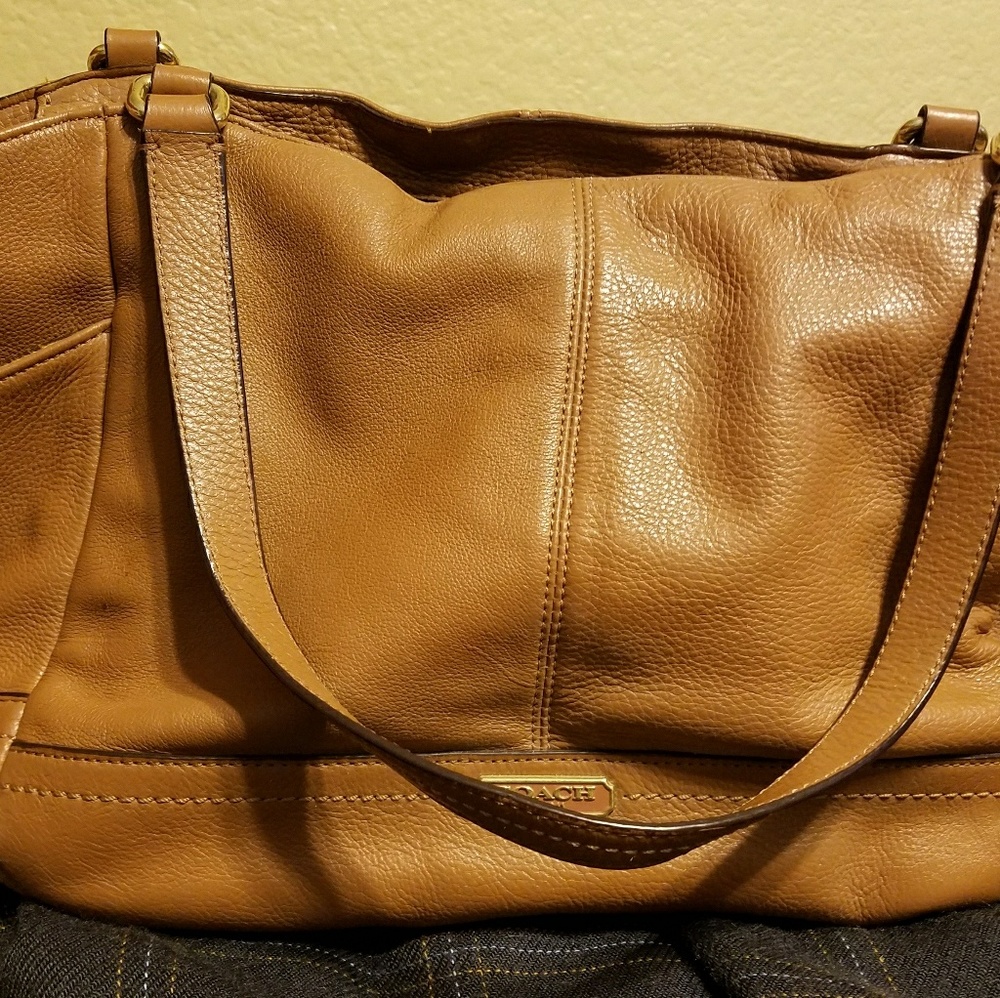 Coach Park Carrie Tote